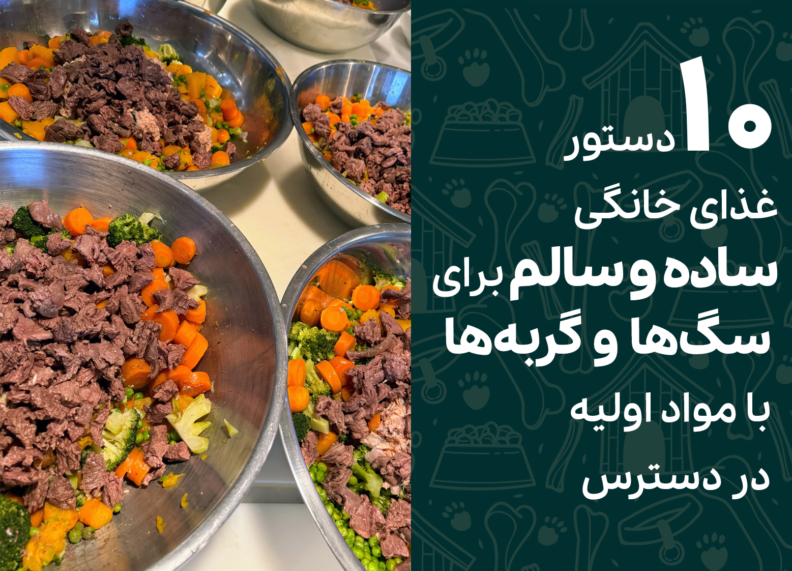10 دستور غذای خانگی ساده و سالم برای سگ‌ها و گربه‌ها با مواد اولیه در دسترس