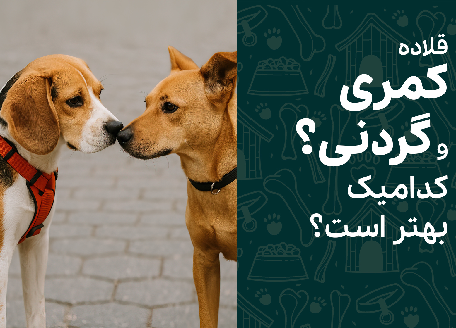 قلاده کمری و گردنی؟ کدامیک بهتر است؟