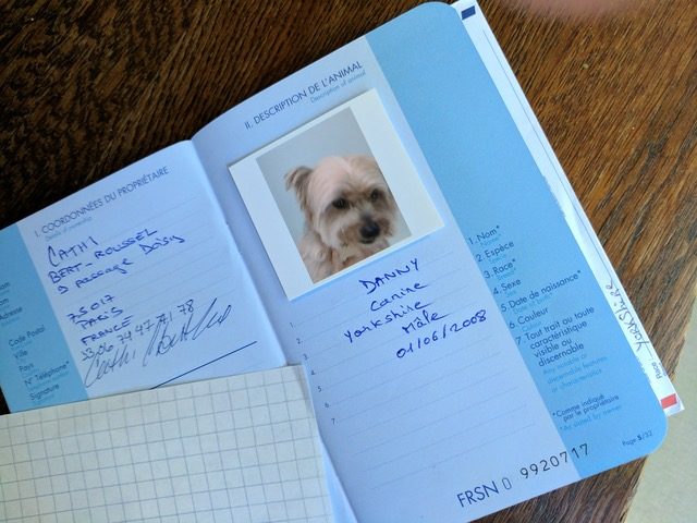 پاسپورت سگ