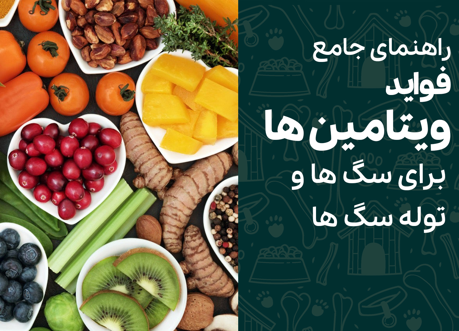راهنمای جامع فواید ویتامین برای سگ ها و توله سگ ها