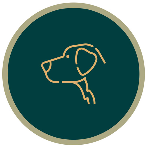 آشنایی با نژادها