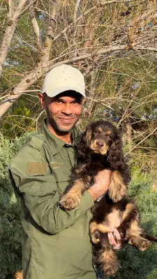 آگهی فروش نژاد انگلیش کوکر اسپانیل