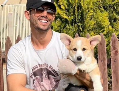 آگهی فروش نژاد پمبروک ولش کورگی