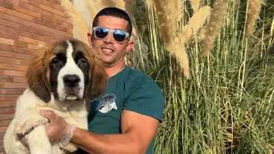 آگهی فروش نژاد سنت برنارد