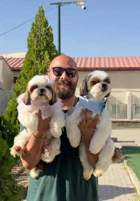 آگهی فروش نژاد شیتزو