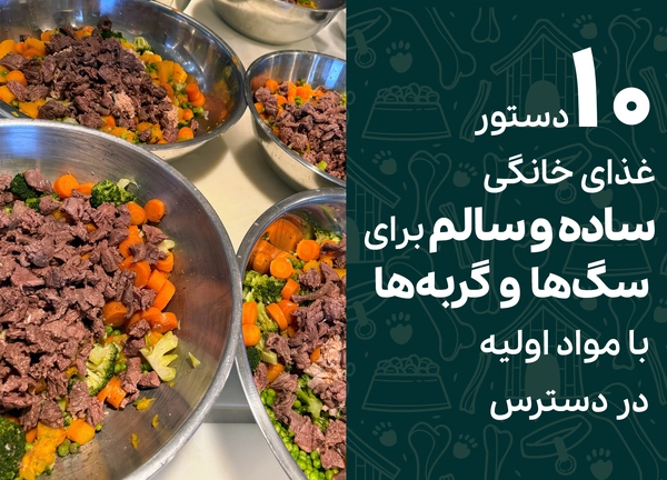 10 دستور غذای خانگی ساده و سالم برای سگ‌ها و گربه‌ها با مواد اولیه در دسترس