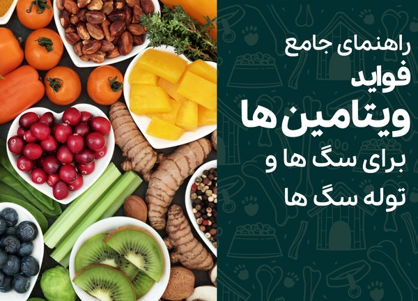 راهنمای جامع فواید ویتامین برای سگ ها و توله سگ ها