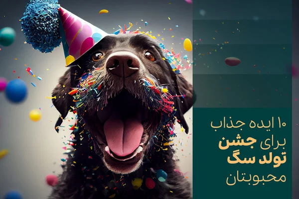 10 ایده جذاب برای جشن تولد سگ محبوبتان