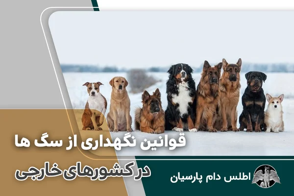 قوانین نگهداری از سگ در کشور‌ های خارجی