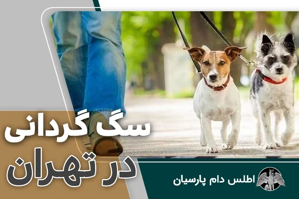 سگ گردانی در تهران