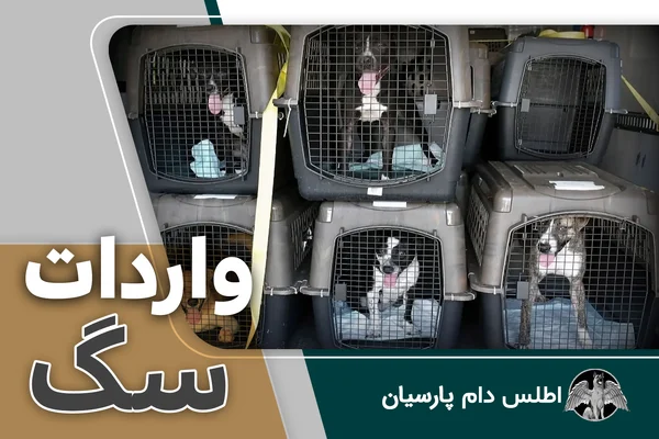 واردات انواع نژادهای سگ به ایران