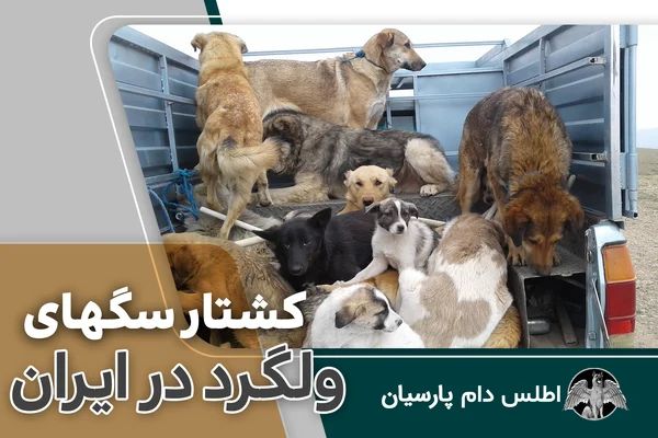 کشتار سگهای ولگرد در ایران